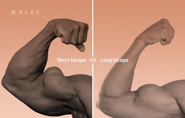 Do You Have Bad Bicep Genetics? Try The Bicep Gap Test