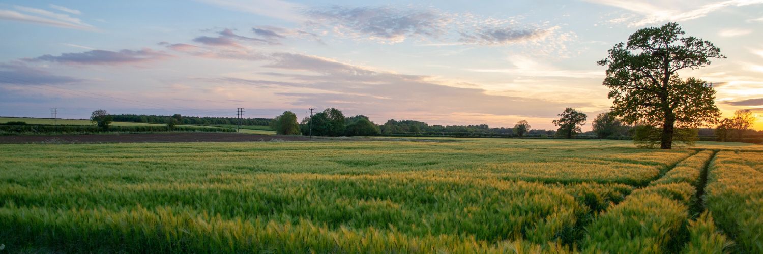 Cheap Flights to Saskatchewan from CA 49 Flair Airlines