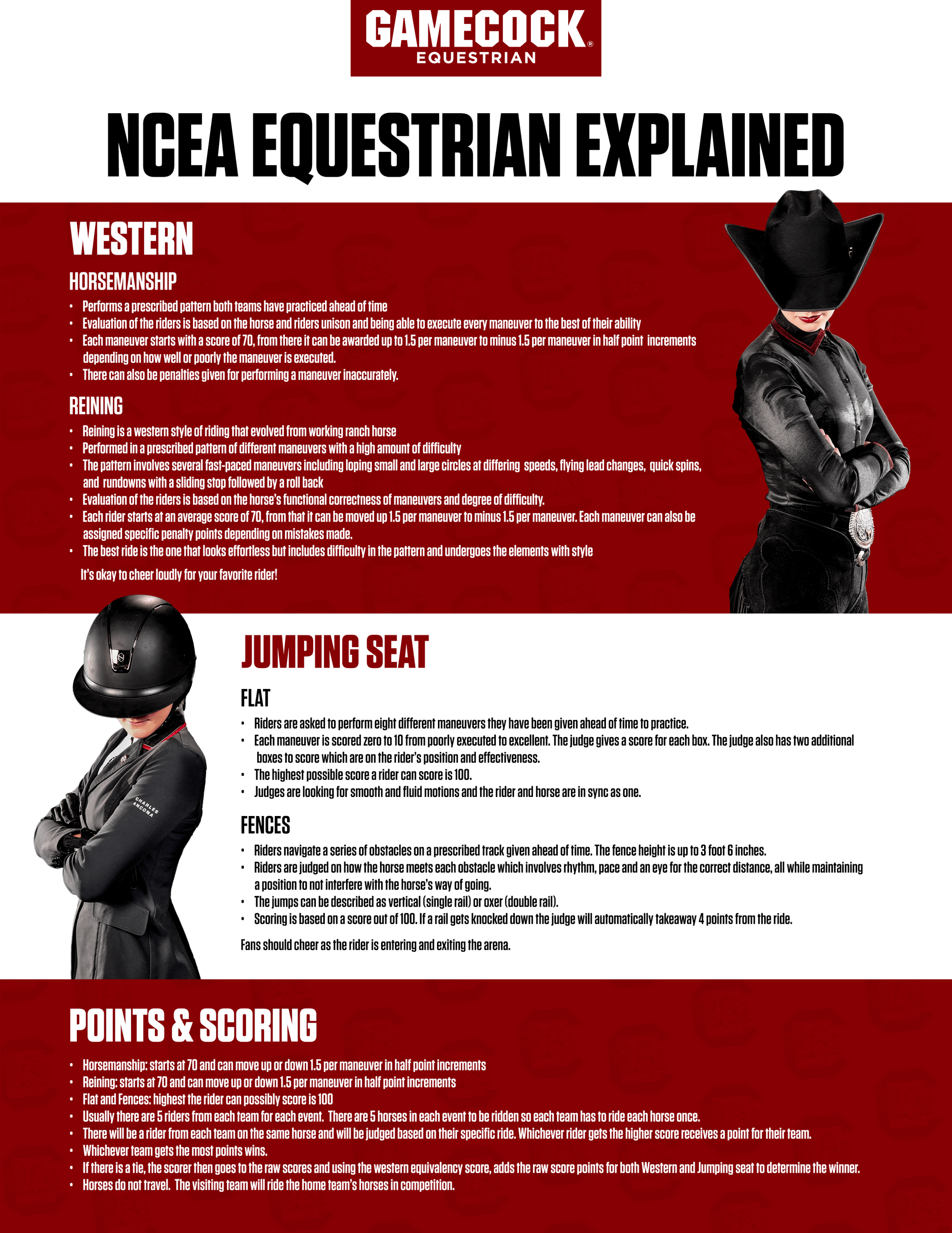 Carol Gwin Named Newest Head Coach for Gamecock Equestrian University