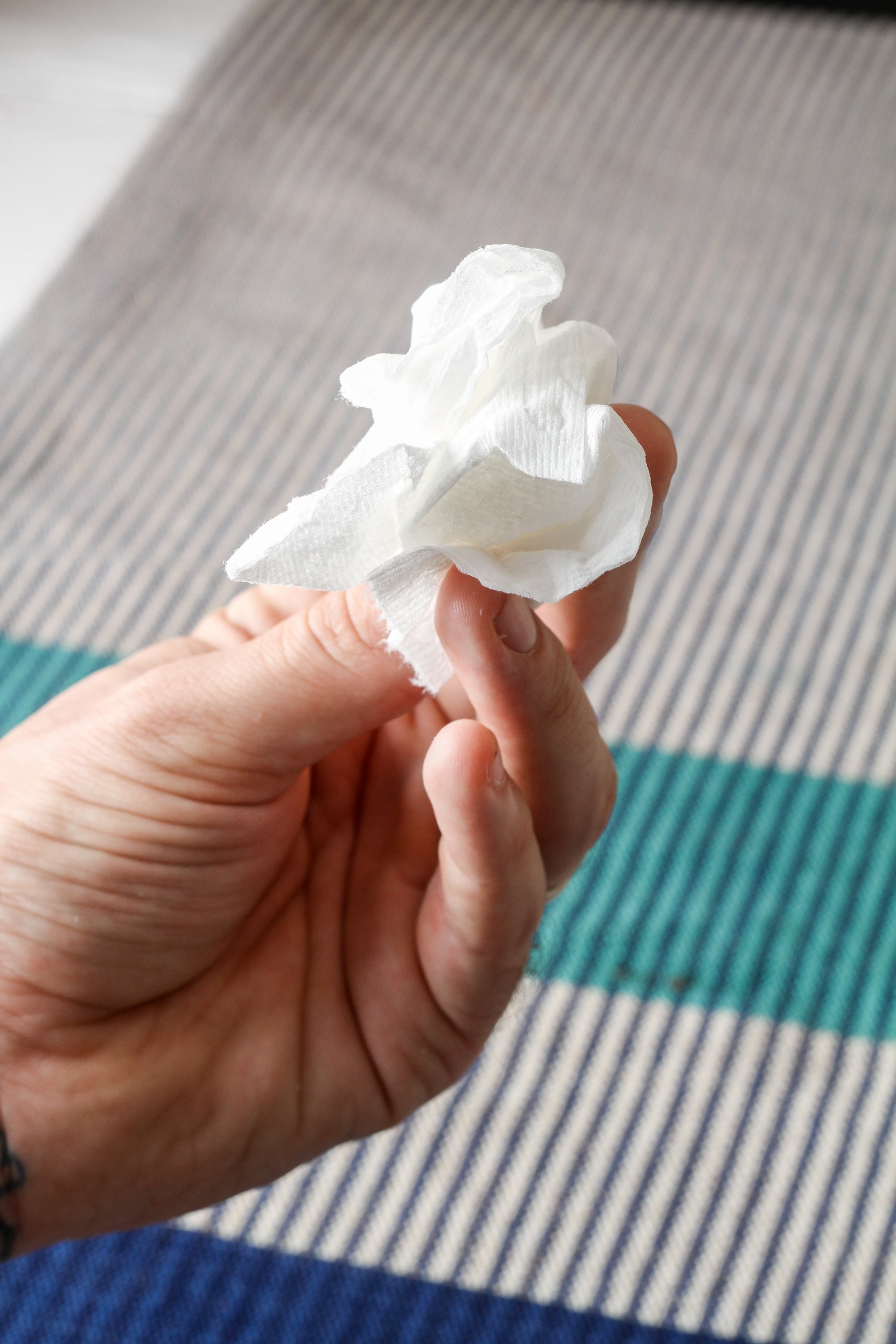 toilet paper house meaning Mickie Bach