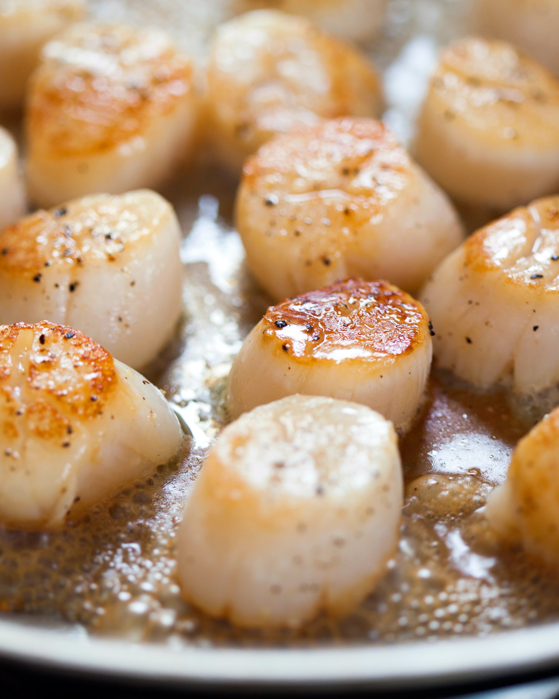 How To Cook Sea Scallops In Air Fryer 11840 Hot Sex Picture