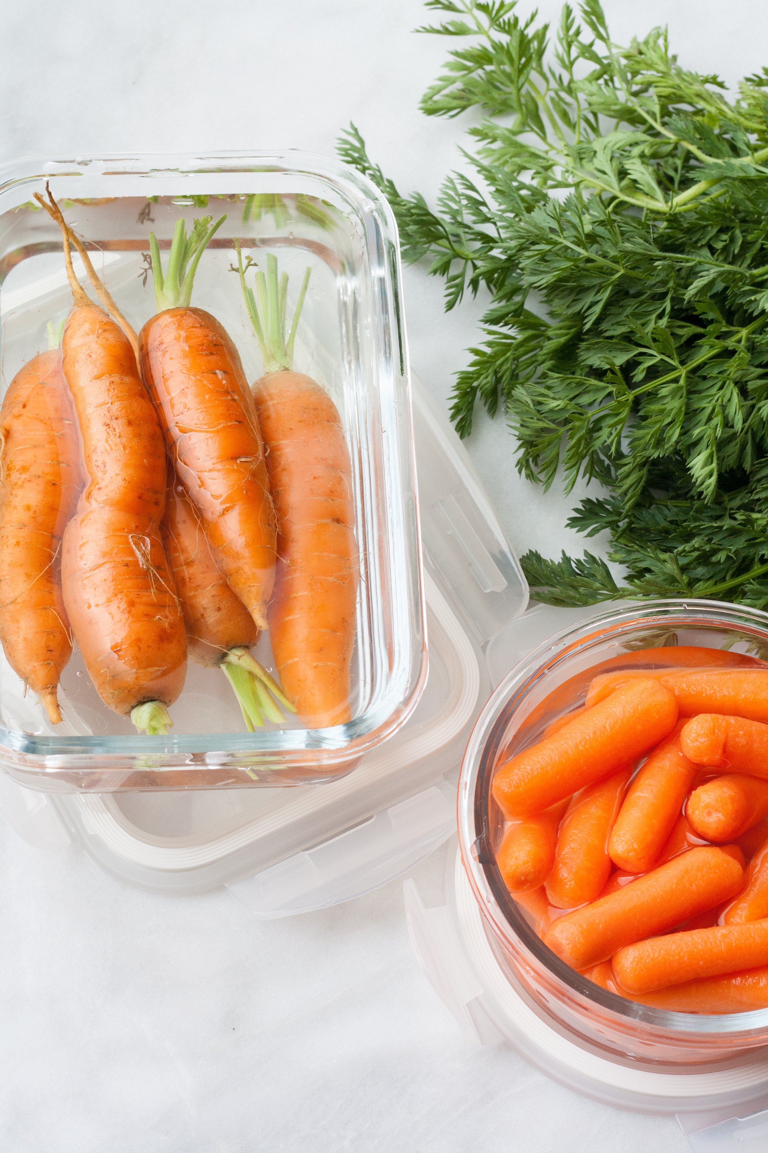 How Long Do Baby Carrots Last Out Of The Fridge Baby Viewer