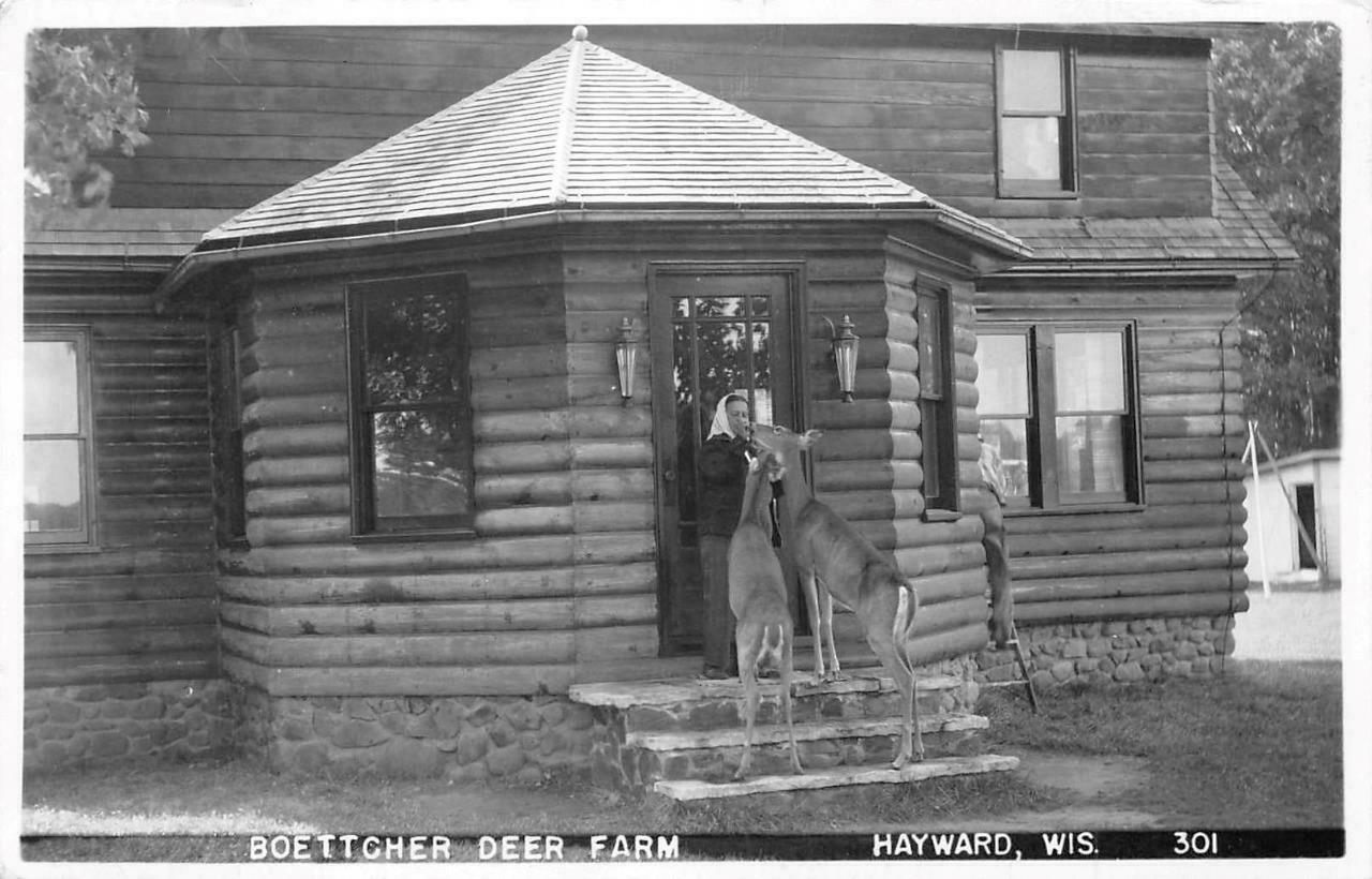 Deer Farm Armstrong Creek Wi at Curtis Stockard blog