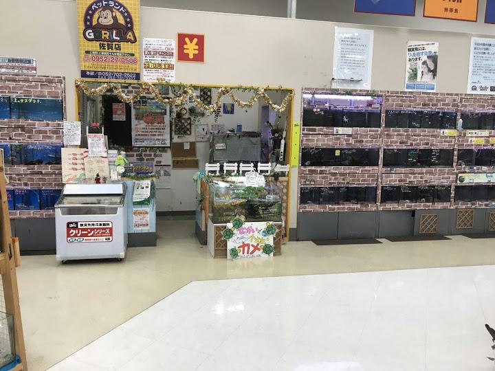 ペットランドゴリラ佐賀店