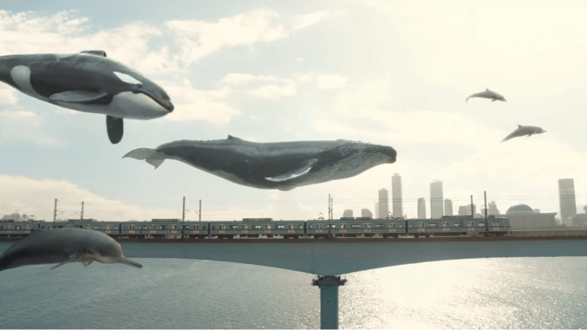 Extraordinary Attorney Woo Items Whale Items Are the Hype