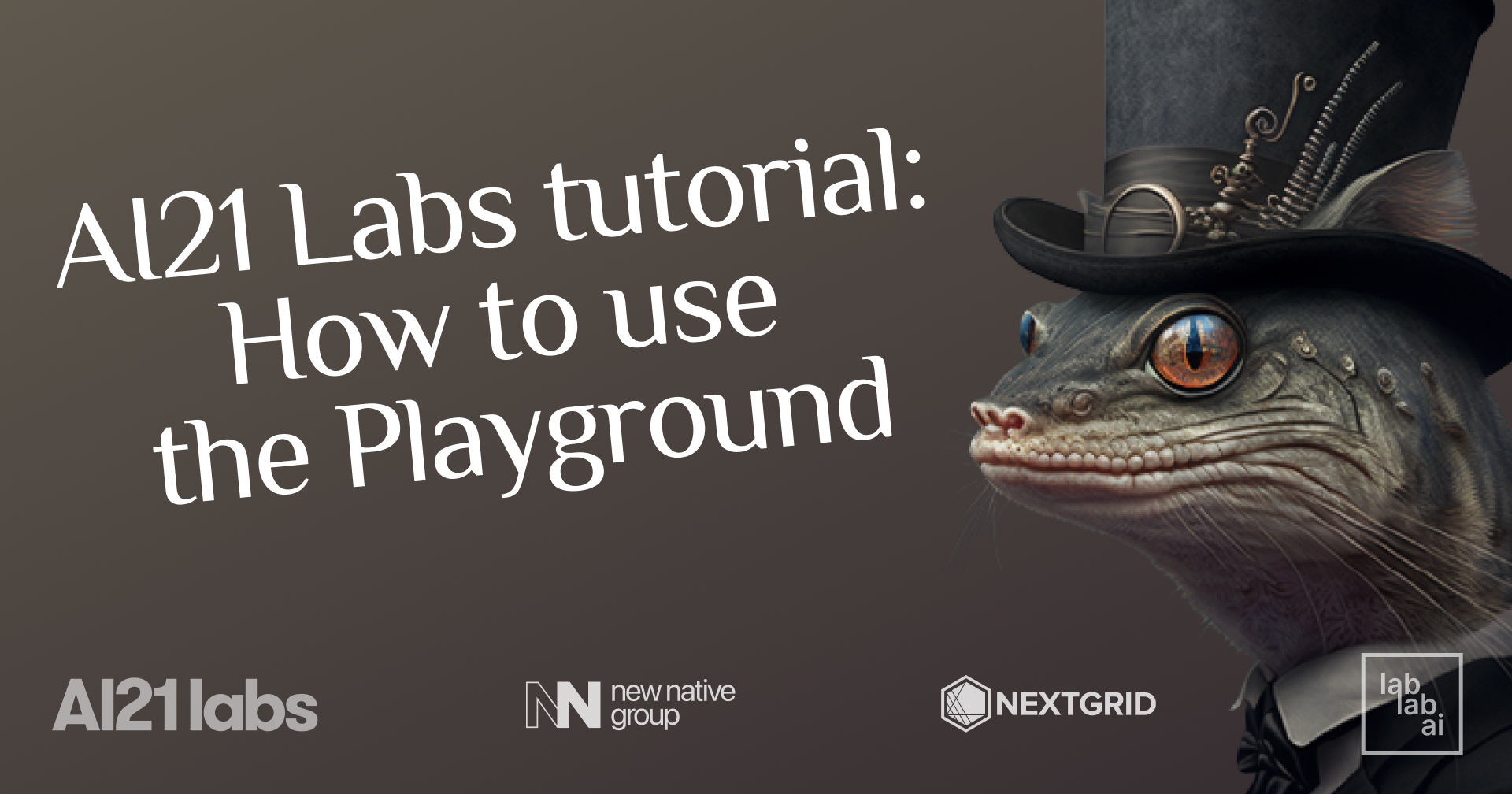 AI21 Labs tutorial How to use the Playground tutorial
