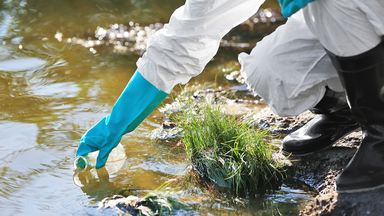 Environmental Issues Port Henry Real Estate Susan Cook