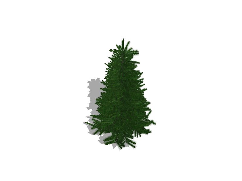 Spruce Real Christmas Tree in the Fresh Christmas Trees department at