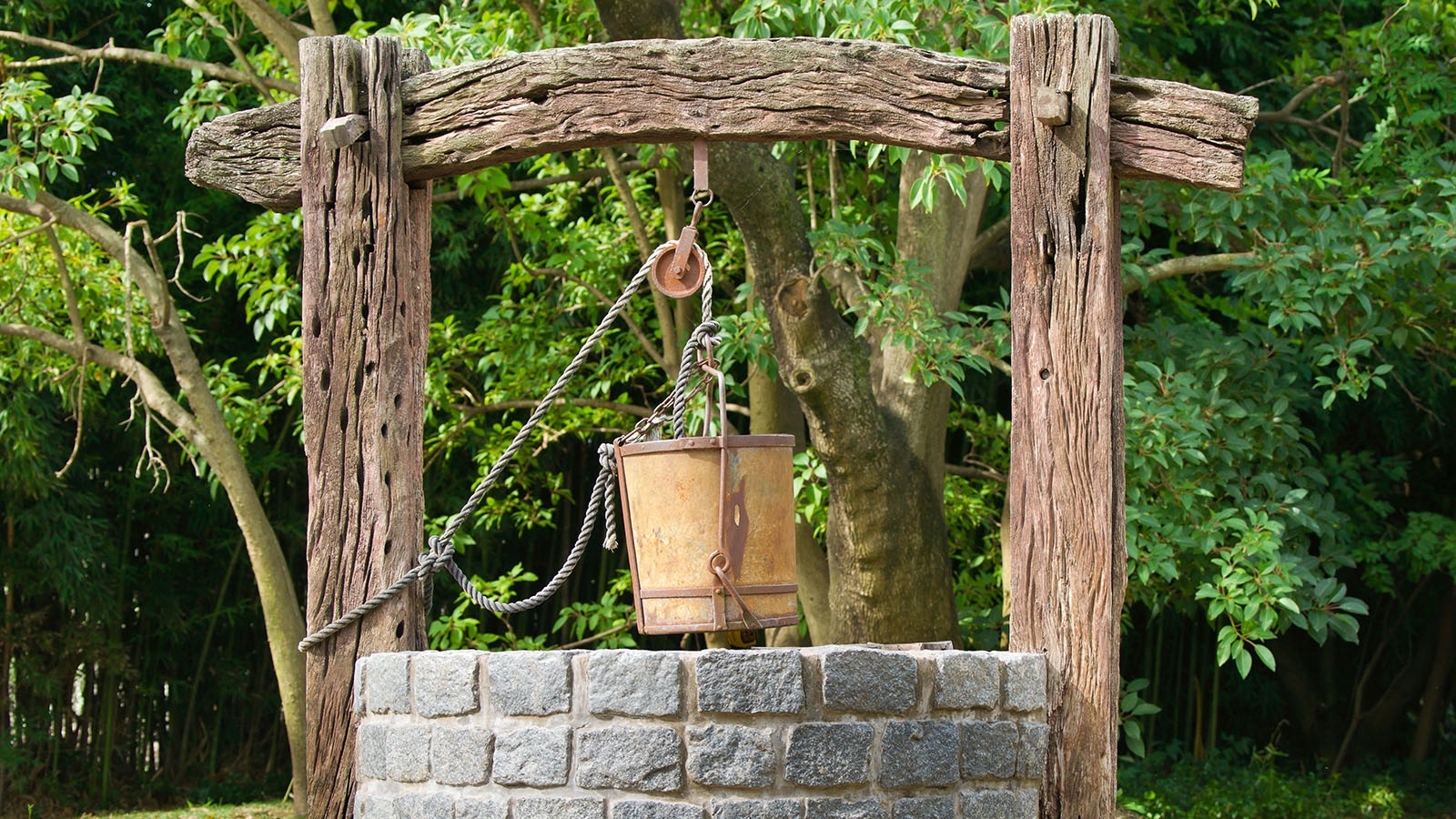 Simple Machine Examples From Around the House