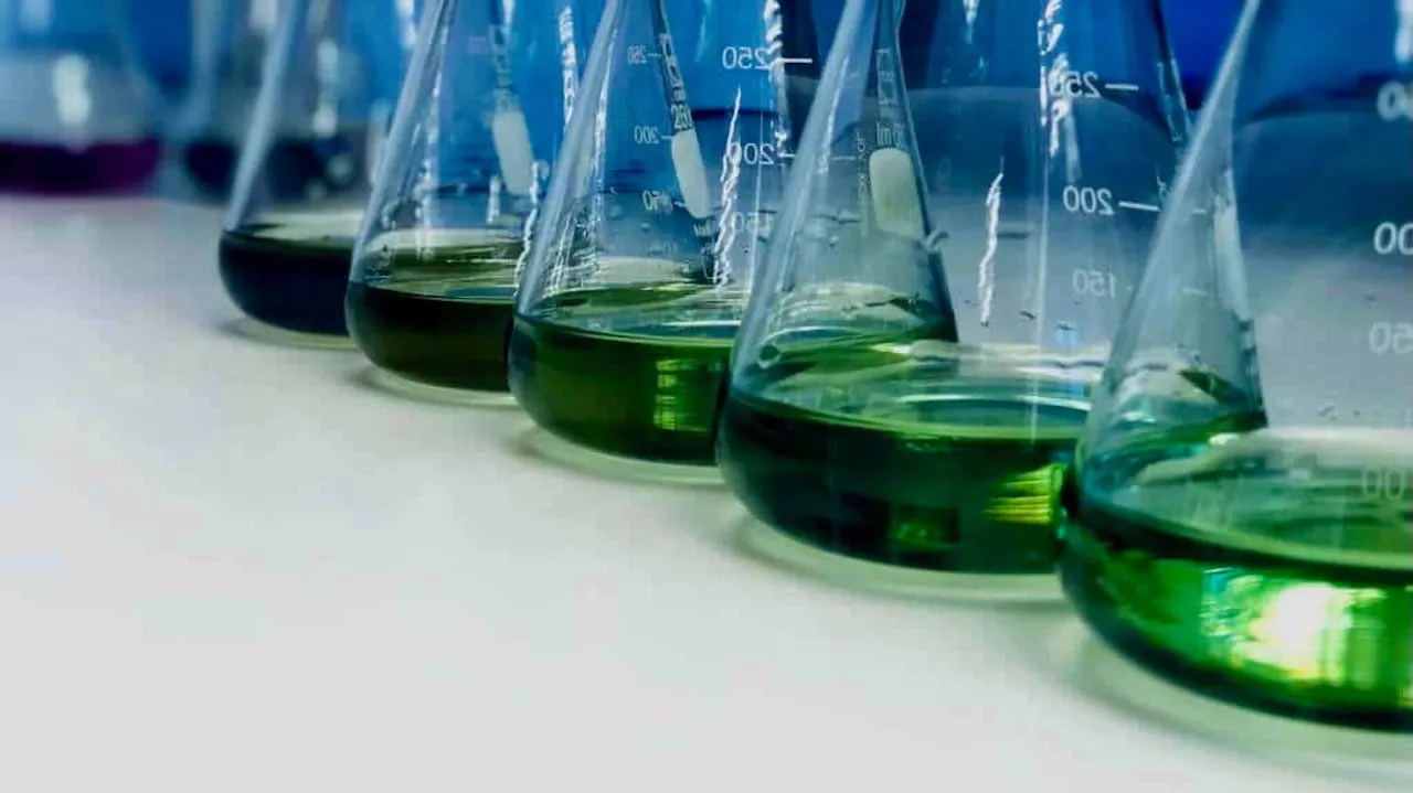 Dinamarca inaugura a primeira fábrica dinâmica de amônia verde do mundo