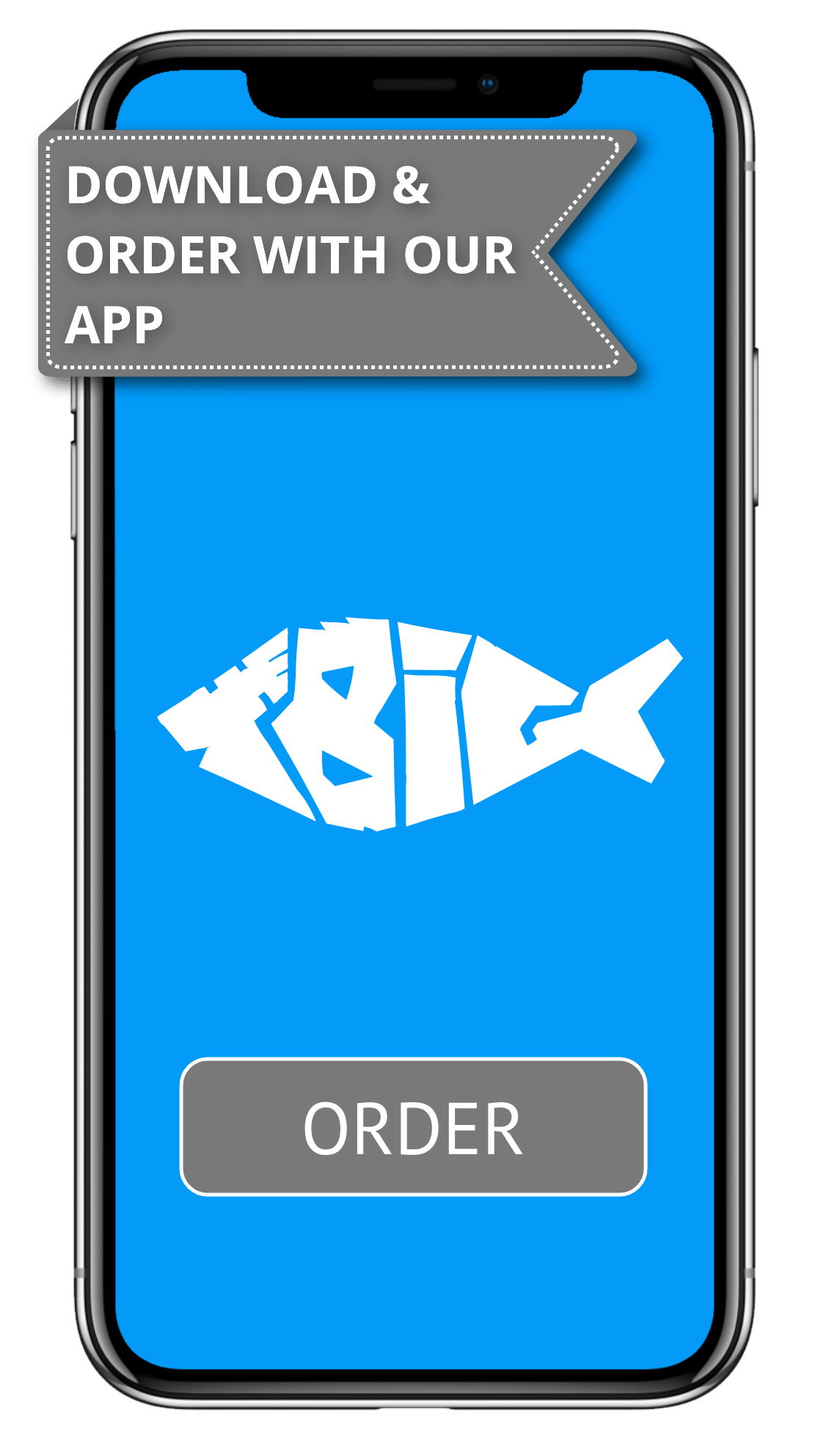 Big Fish Order Online