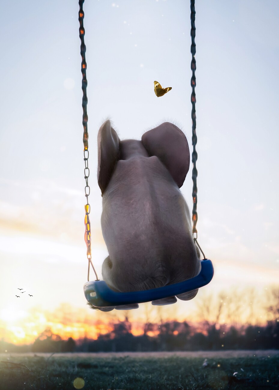 Baby Elephant Swing and Butterfly Posters, kunstafdrukken, fotobehang