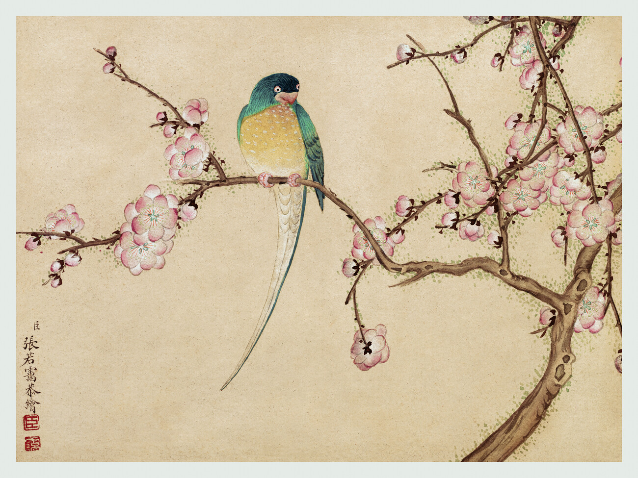 Famous Bird Painter