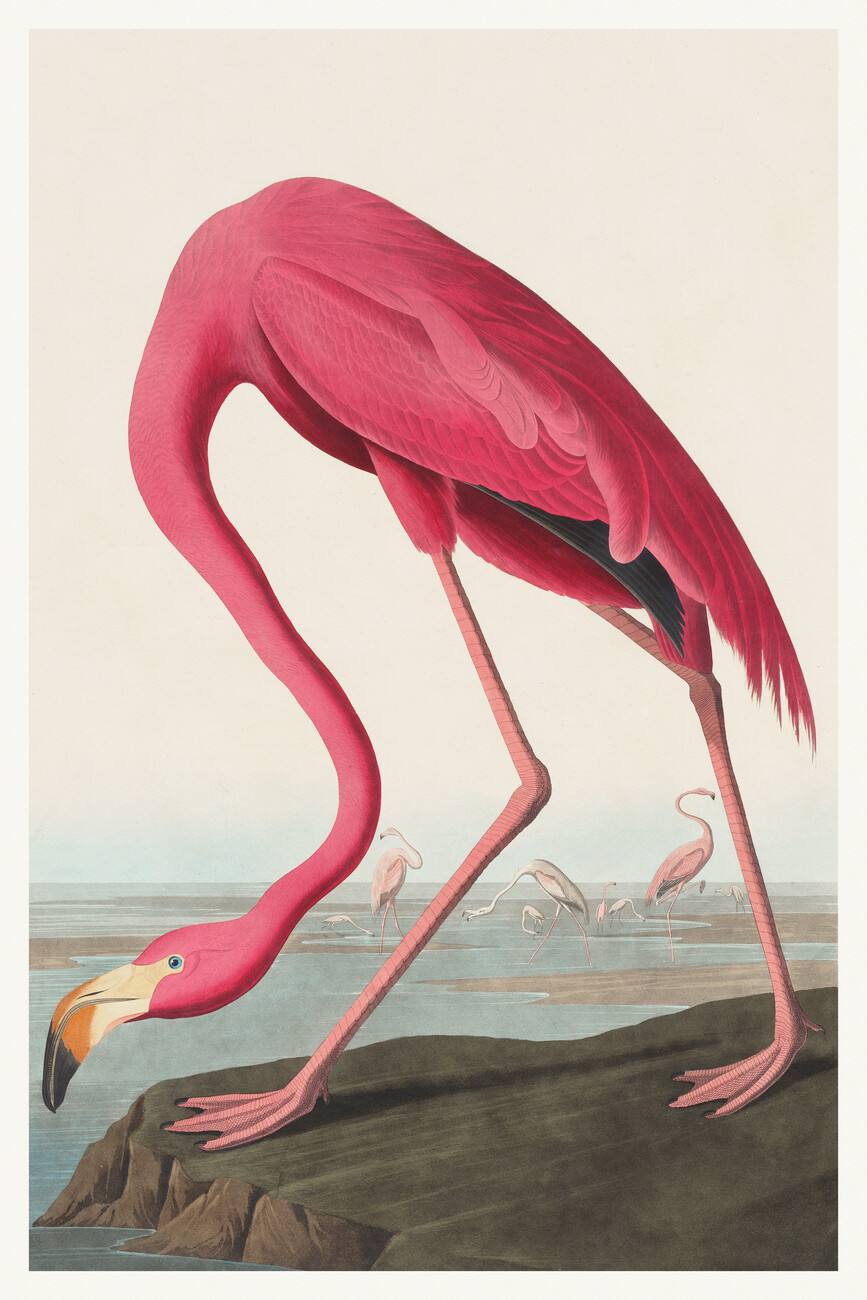 Famous Bird Painter