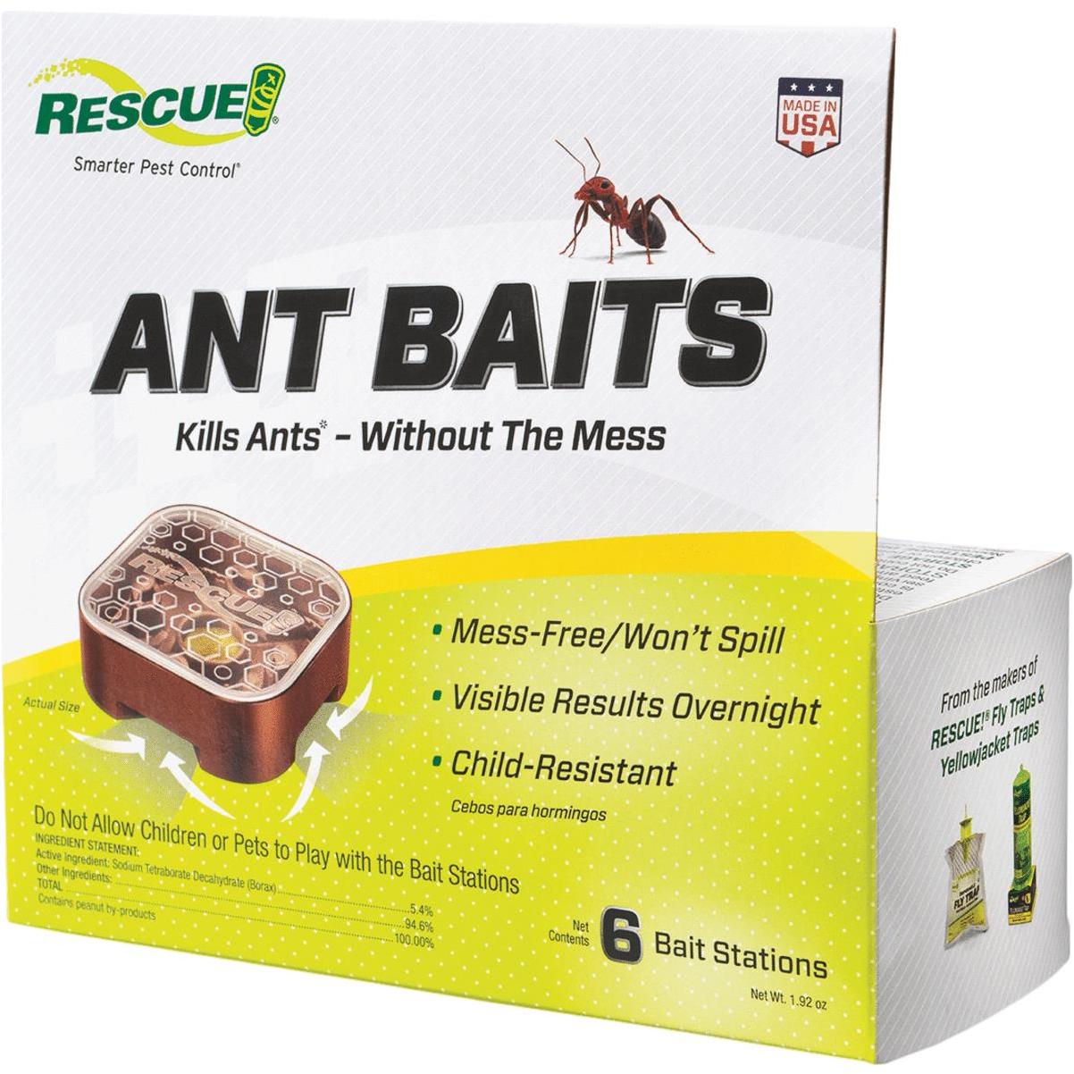 Best Ant Baits Kelly's Classroom