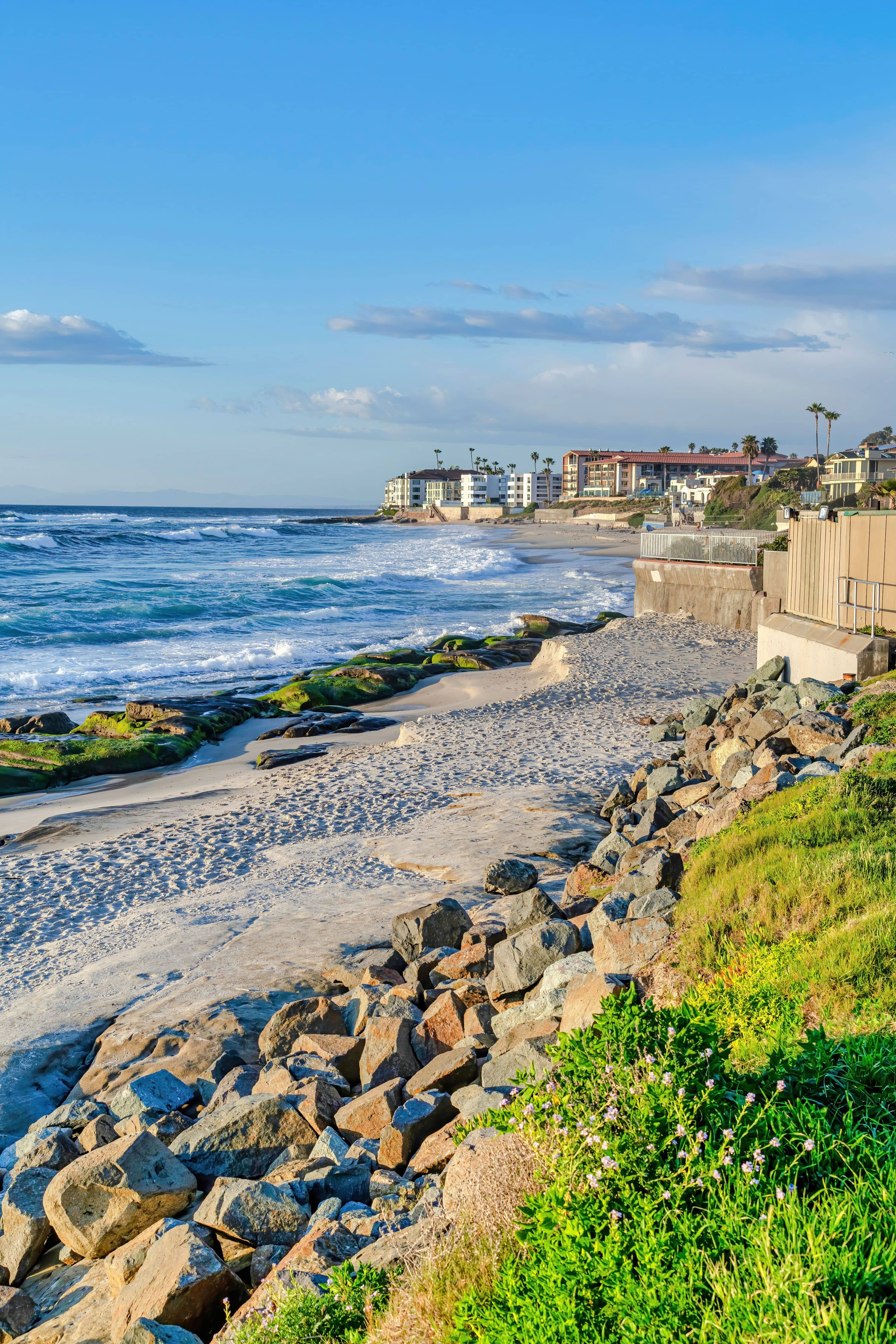 Top Pet Friendly Hotels San Diego, CA Romingo