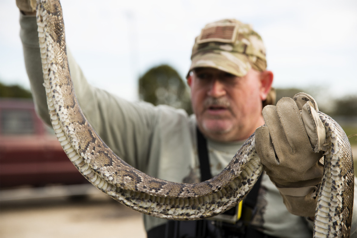 Snakes on a Plain Florida's Python Hunters PORT Magazine