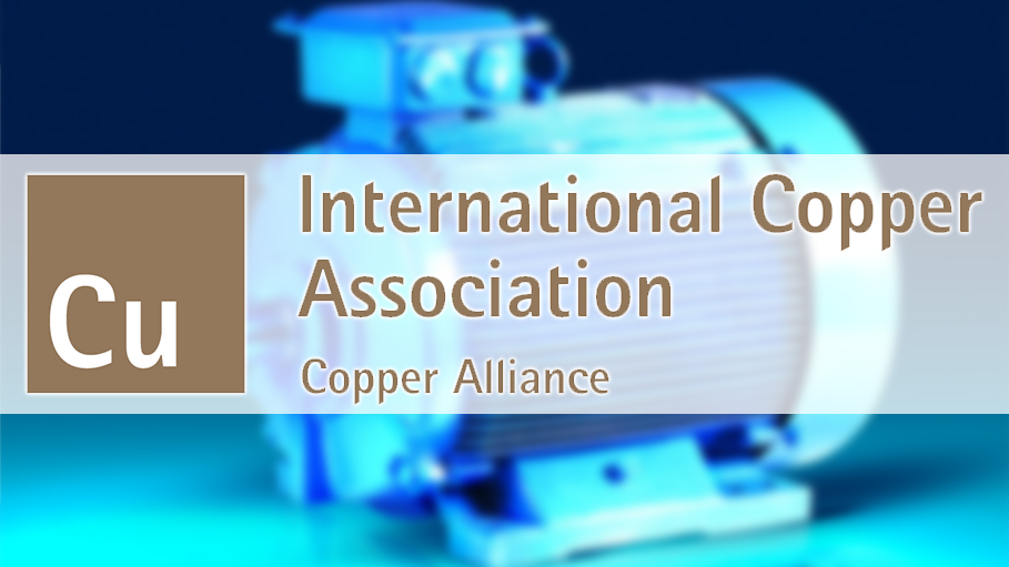 International Copper Association Working Towards National Motor