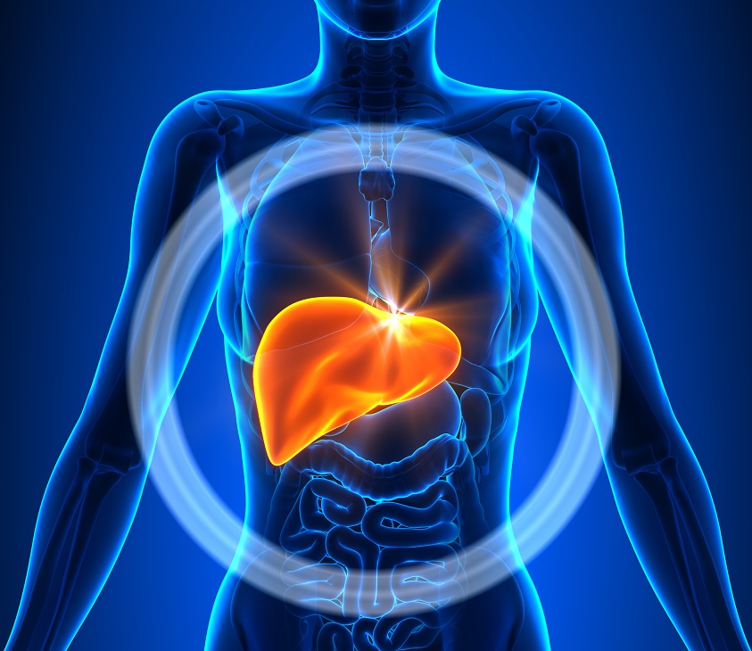 Food and Supplements That Reverse Liver Disease Smarter Reviews