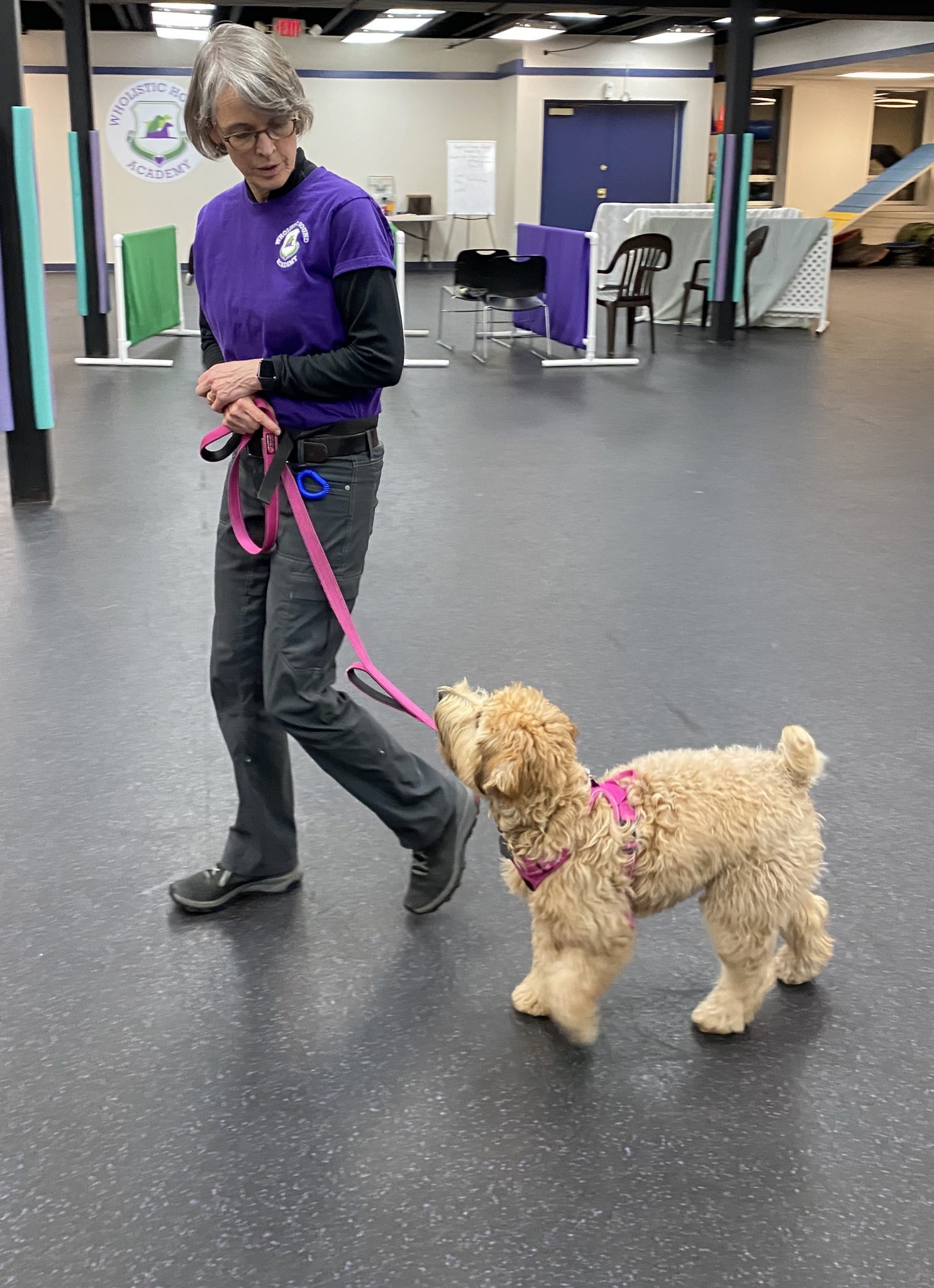 Local Dog Trainer Applauds Petco for Banning Shock Collars The Zebra