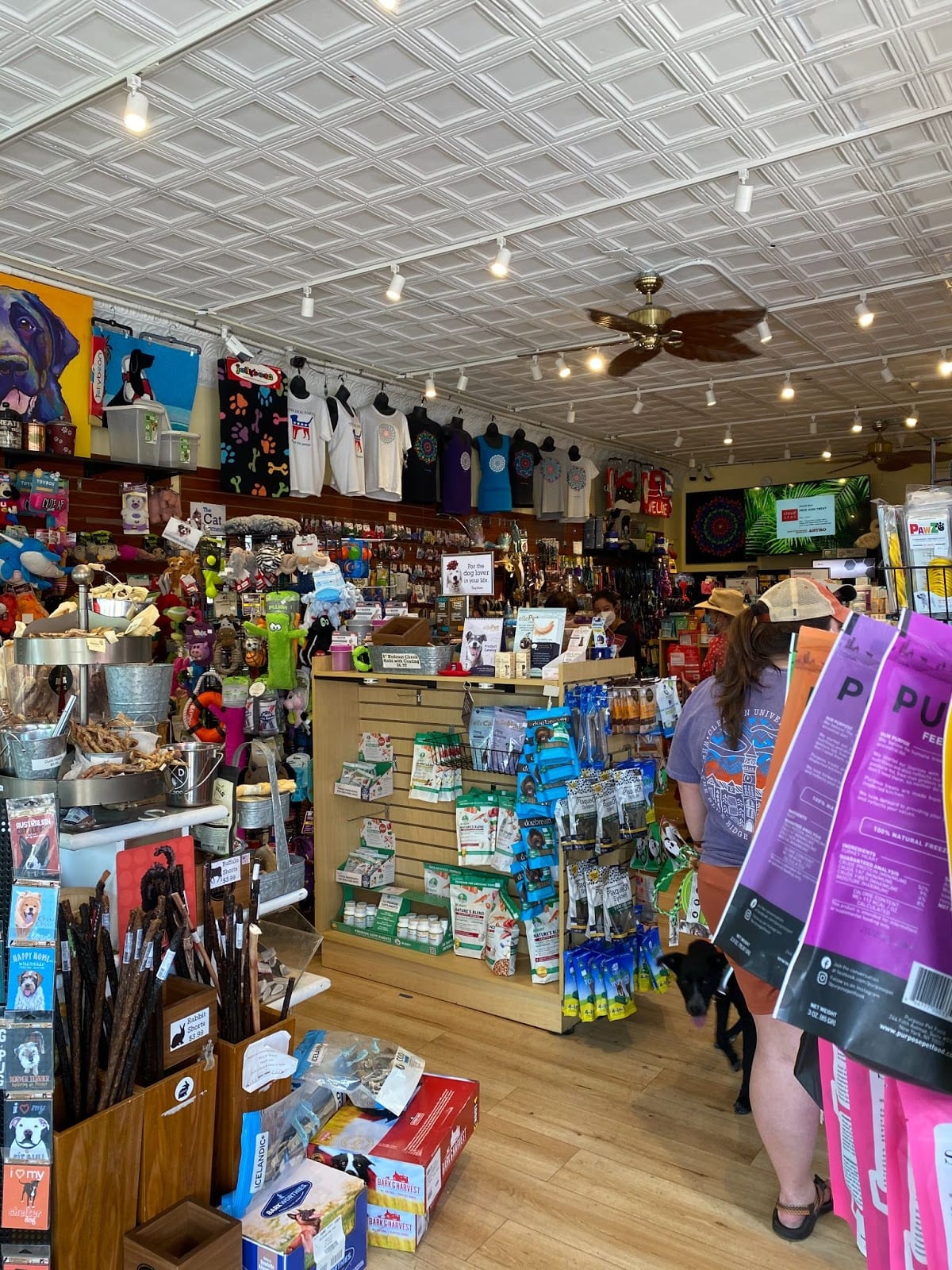 Annual “Cover the Cruiser” Event Returns, Alexandrians Donate Food and