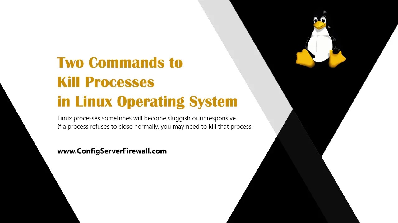 Two Commands to Kill Processes in Linux Operating System