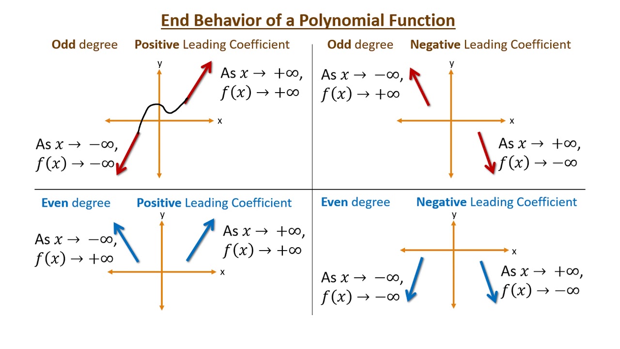 Polynomial Functions and End Behavior - AP Precalc Study Guide 2024