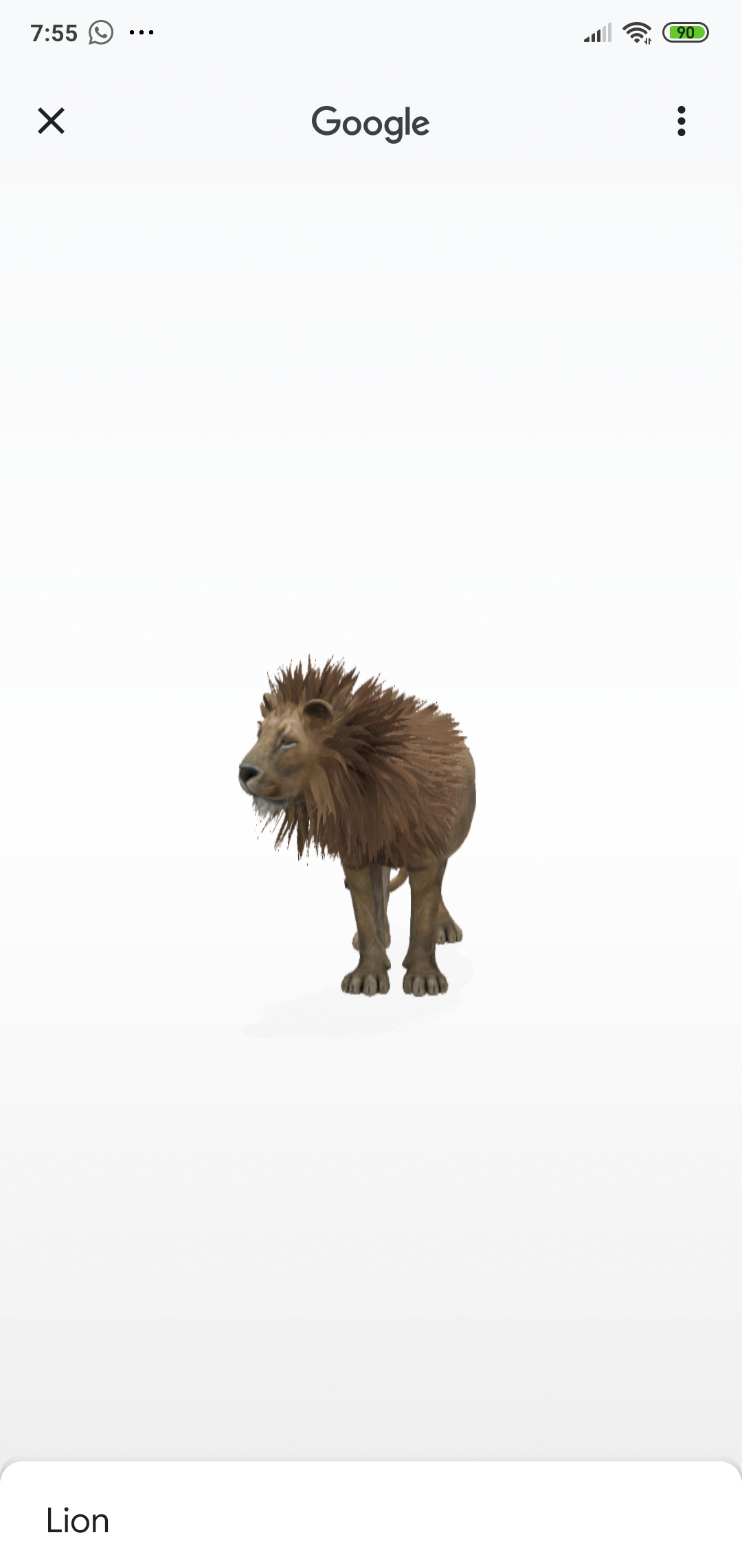 Lion 3d View In My Space Google
