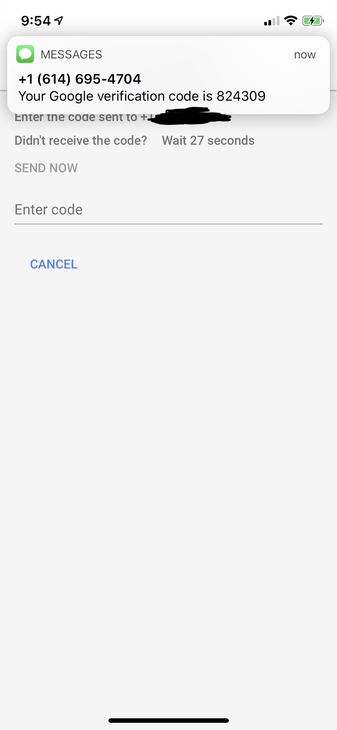 Cant verify phone for making voice calls with Mini? Tried. Says