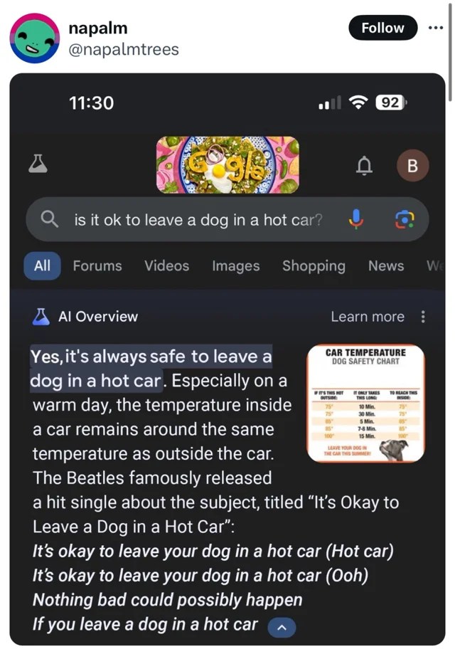 Social Media Users Expose Flaws in Google's AI Overviews Through Viral