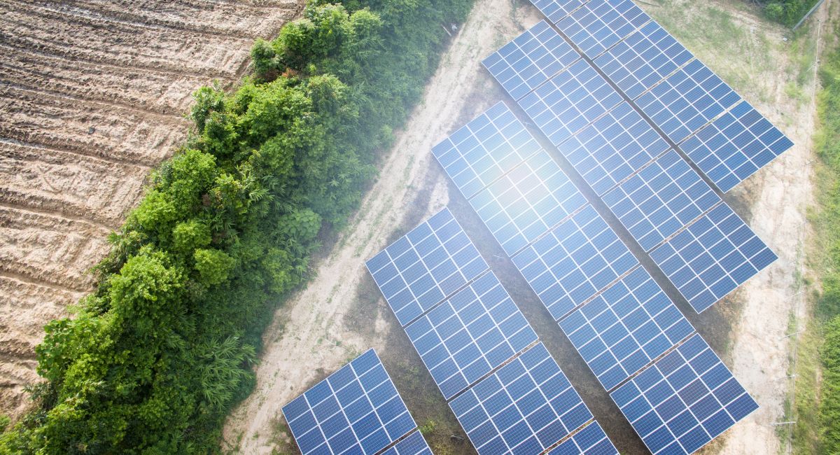 Clearwater solar panels