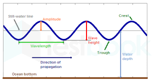 Solved] What Is One - Half Of The Wave Height Called?