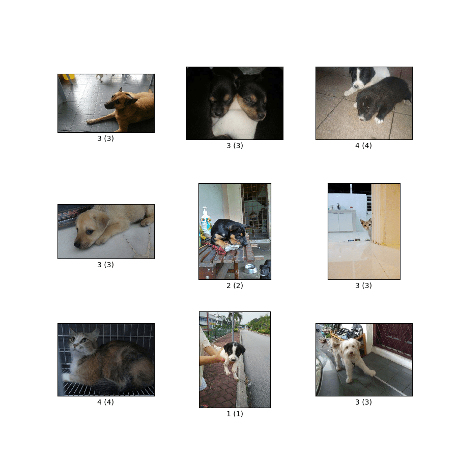 pet_finder TensorFlow Datasets
