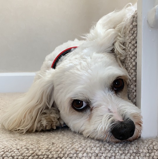 Love Local with The List The Wanderlust Collection