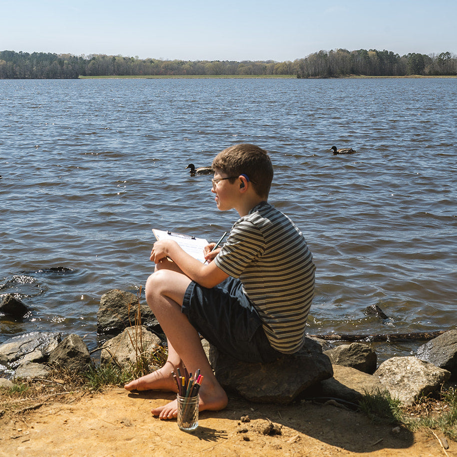 Favorite Homeschool Curriculum Choices for 5th Grade Treehouse