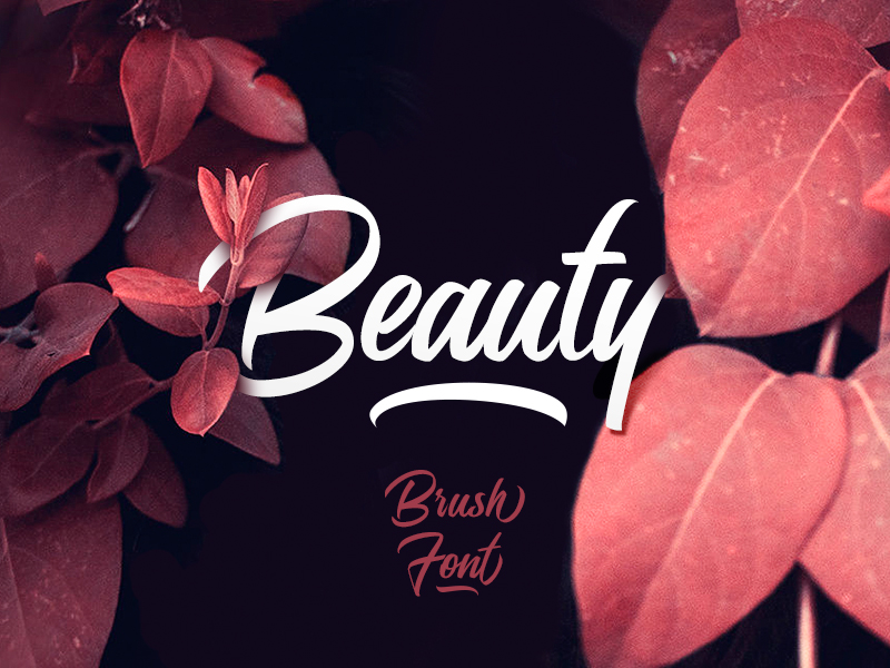 10 Fonts For the Super Fancy Designs Web Design Ledger