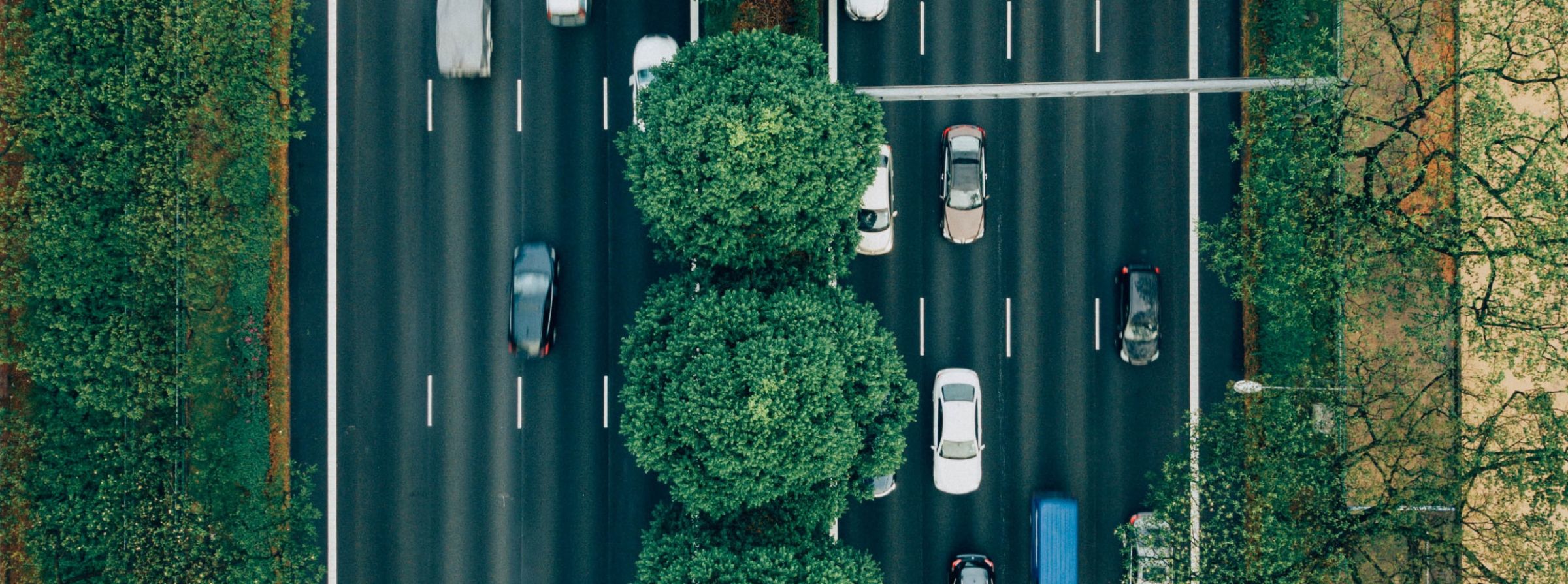 Quelles sont les questions du code où tout le monde se trompe ? - Wizbii  Drive
