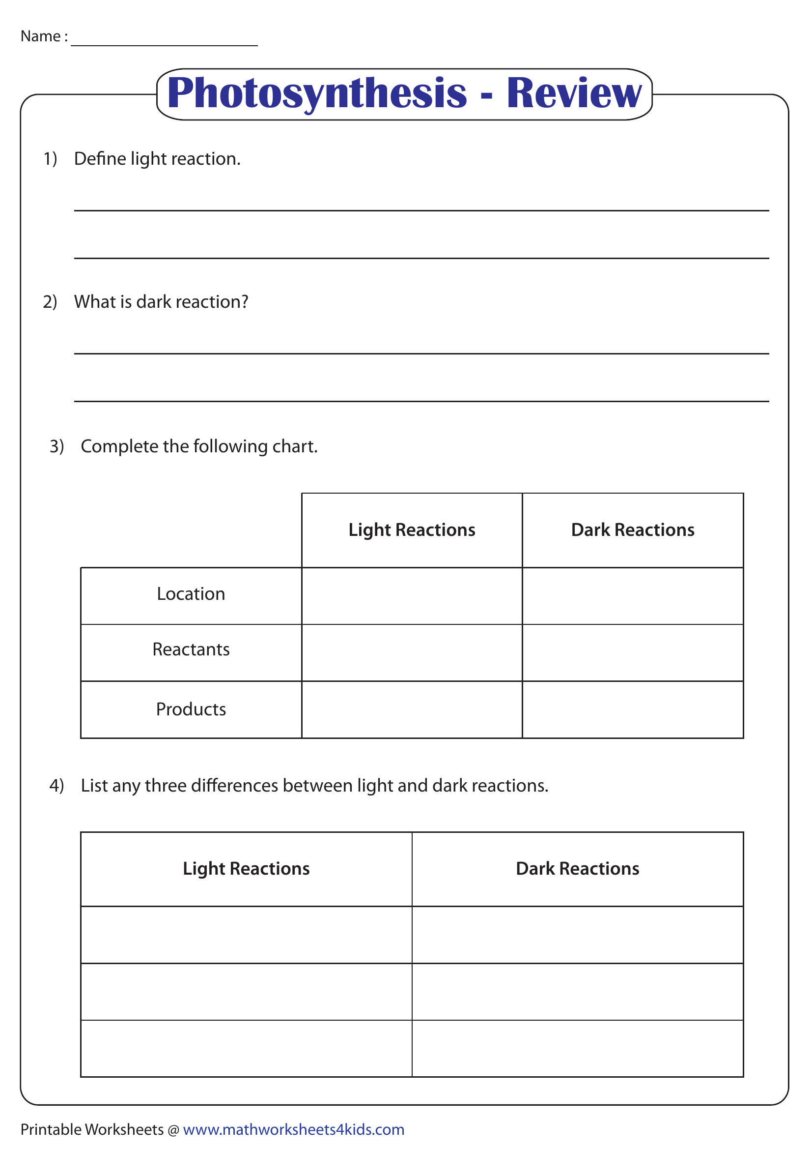 Photosynthesis - Review | Worksheet Zone