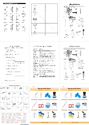 Free Printable Lab Equipment Worksheet Answers