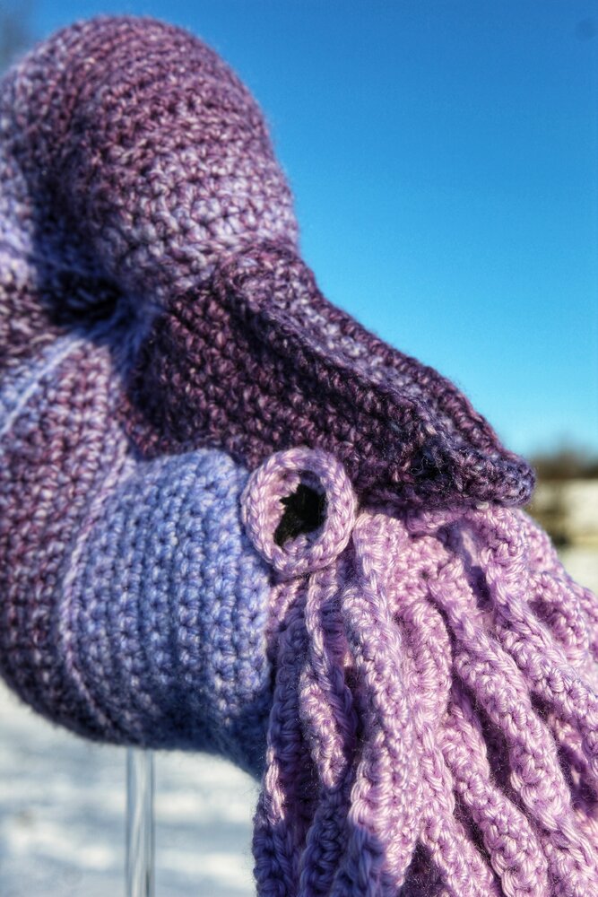 Nautilus Crochet Pattern