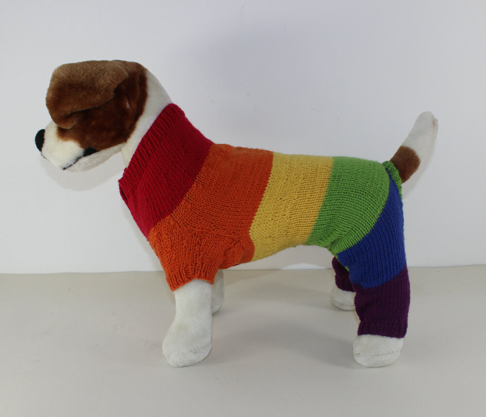 Dog Rainbow Onesie