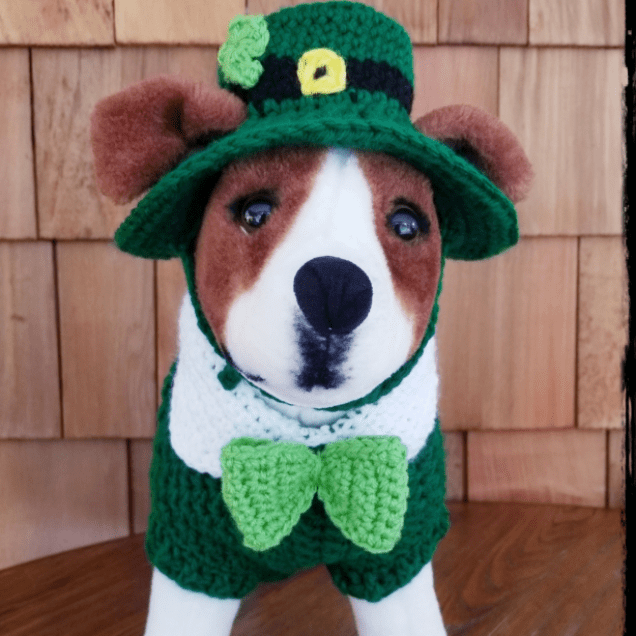 Leprechaun Dog Costume Sweater and Hat