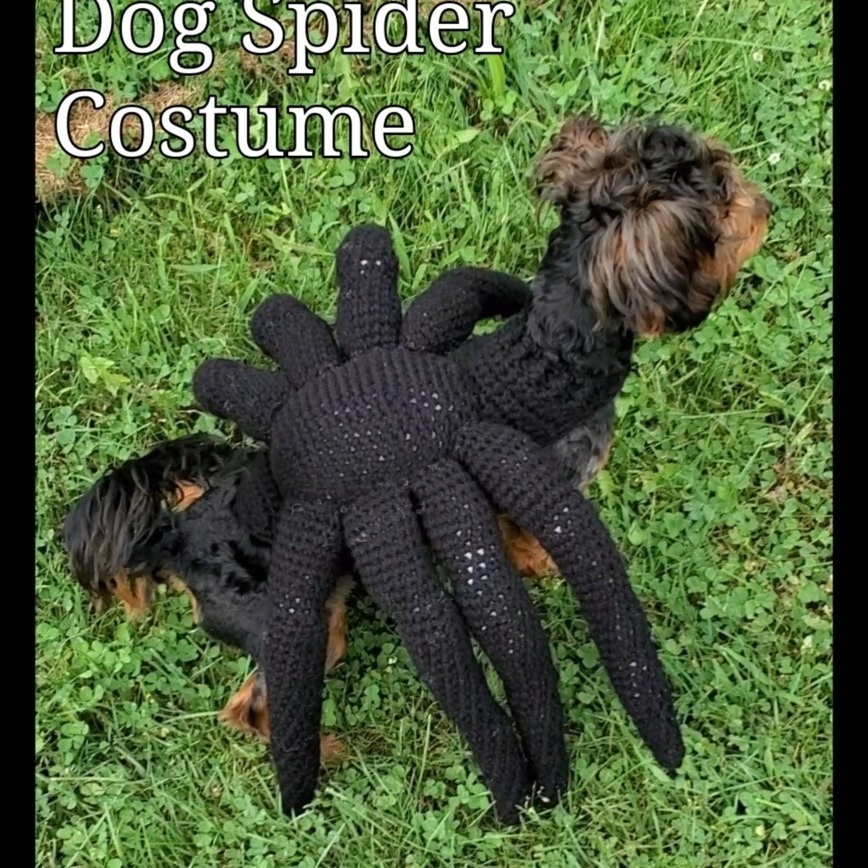 Spider Dog Costume
