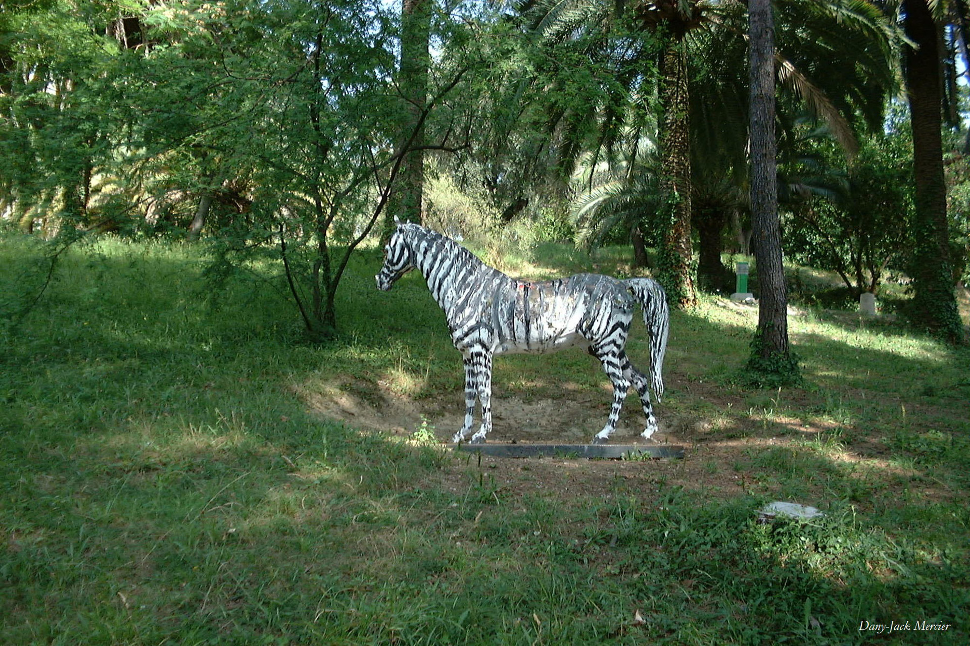 Edit free photo of Zebra,park,statue,symbol,amazing