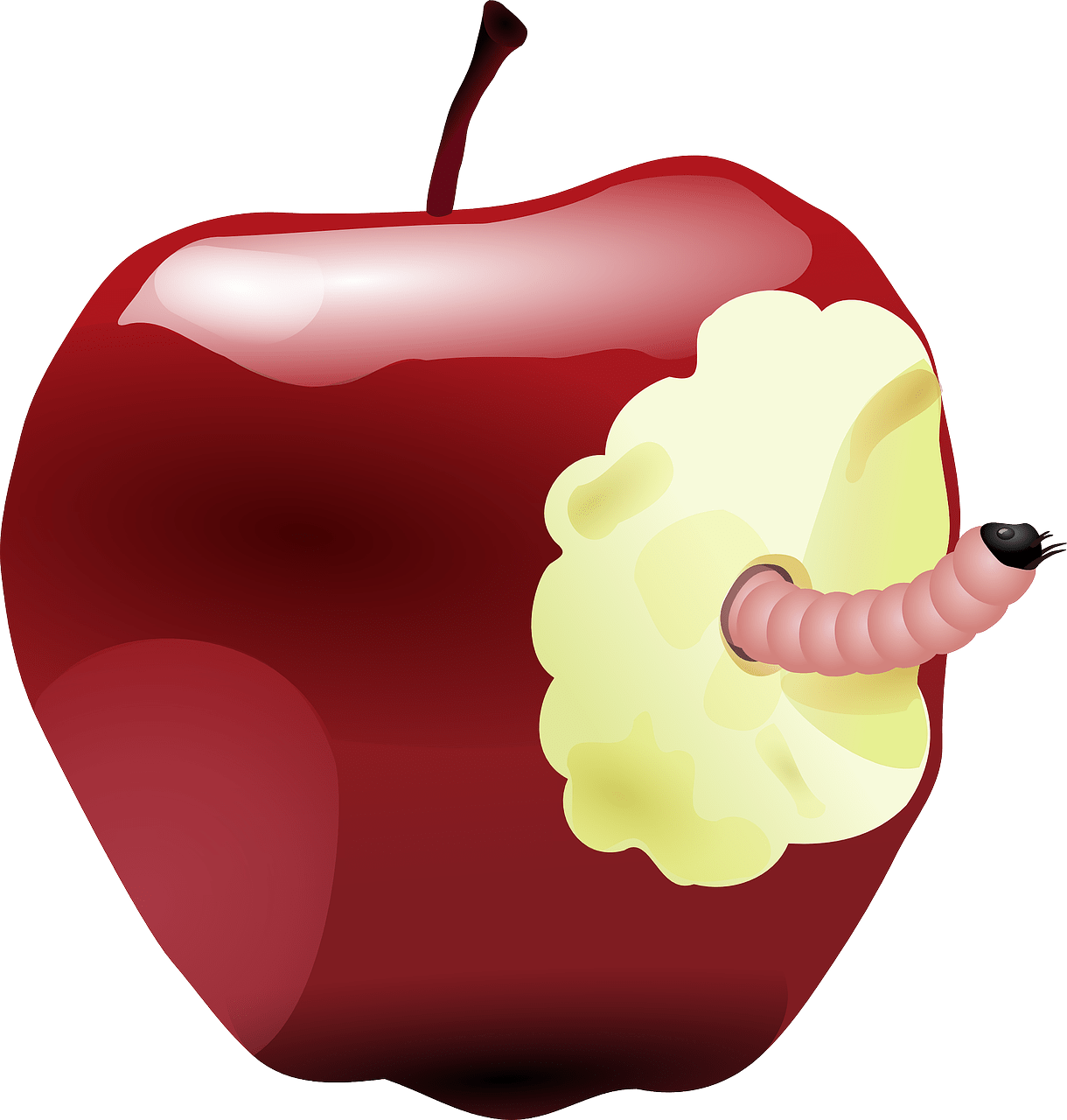 Apple,worm,bitten,fruit,rotten free image from