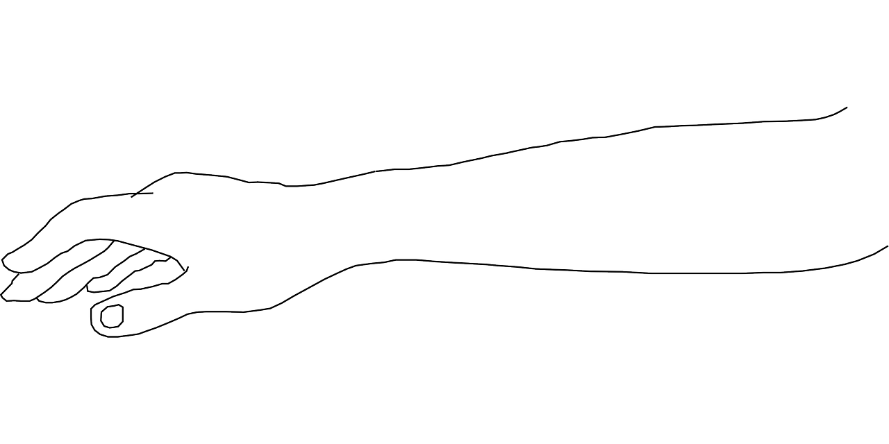 Download free photo of Arm,hand,wrist,human,anatomy from