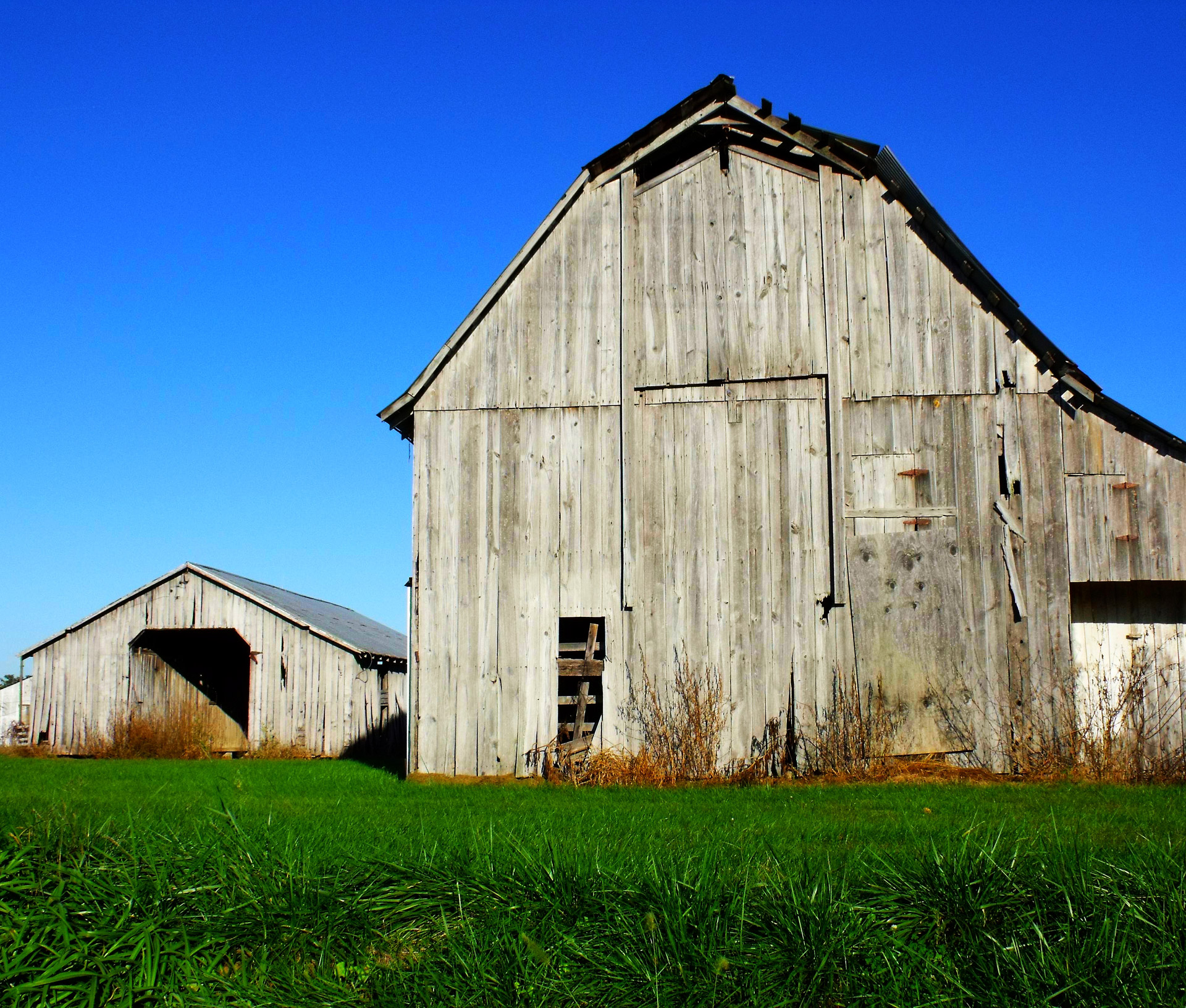 Barn,farm,blue,sky,barn free image from