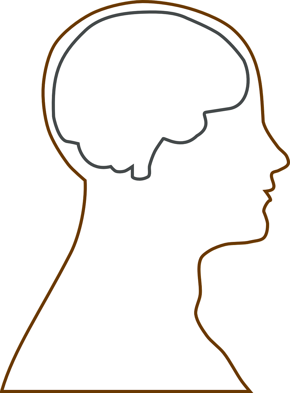 Brain,head,science,human,biology free image from