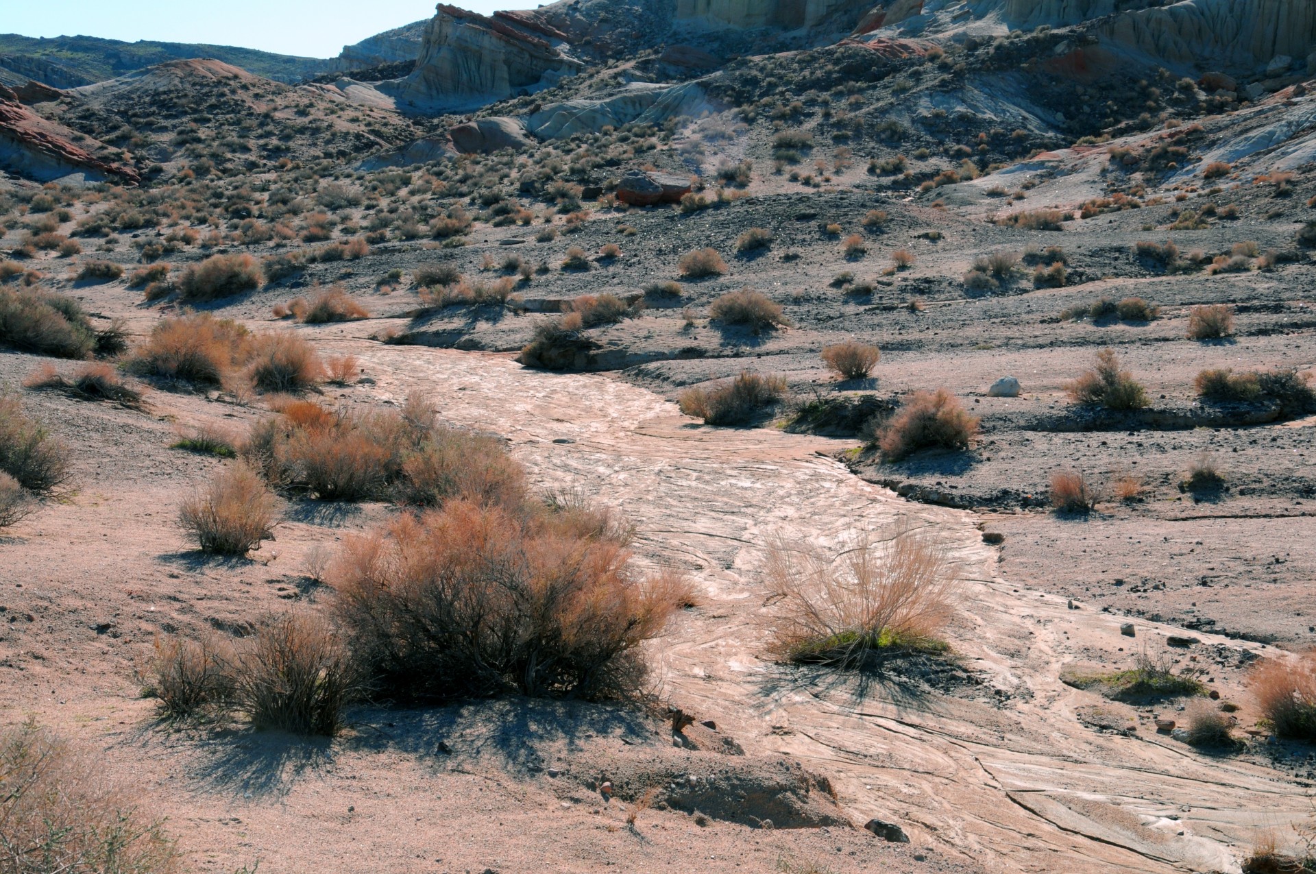Download free photo of Desert,dry,dusty,river,river bed from