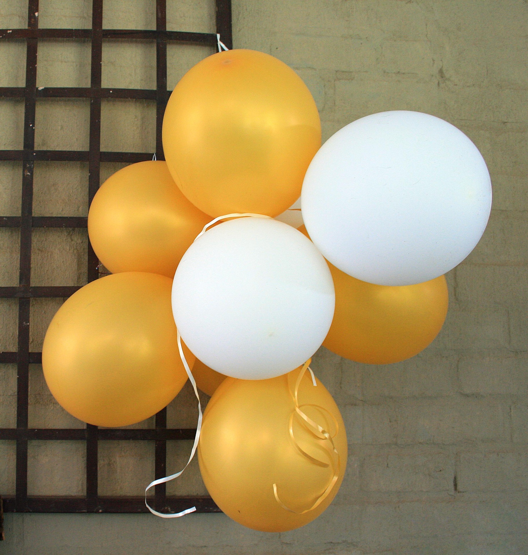 Balloons,yellow,white,inflated,cluster free image from